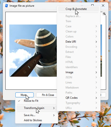 Transform again with Crop and Annotate